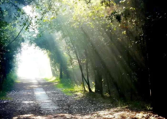 Lejlighed Charme By The Sea, Comacchio Lido delle Nazioni
