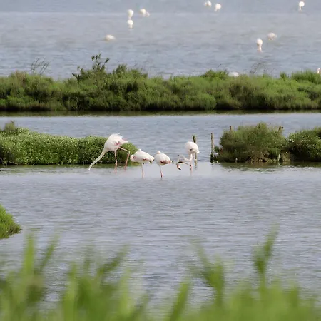 Charme By The Sea, Comacchio *