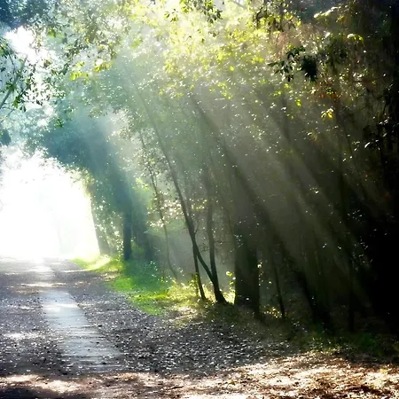 아파트 Charme By The Sea, Comacchio 리도 델레 나지오니