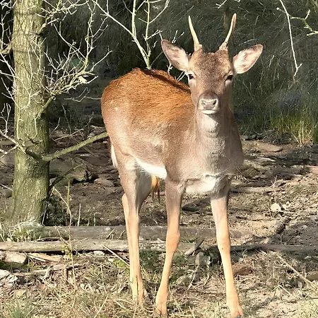 Charme By The Sea, Comacchio * Lido delle Nazioni