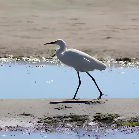 아파트 Charme By The Sea, Comacchio *