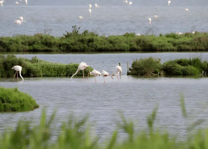 Charme By The Sea, Comacchio *