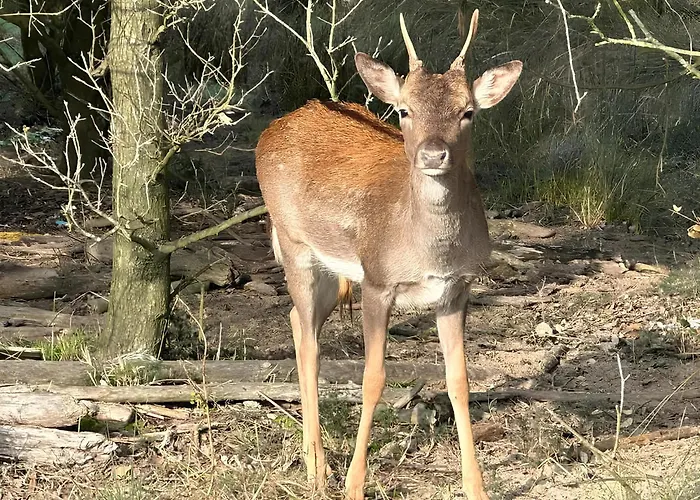 Charme By The Sea, Comacchio * Lido delle Nazioni