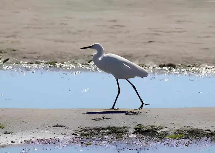 Appartamento Charme By The Sea, Comacchio *